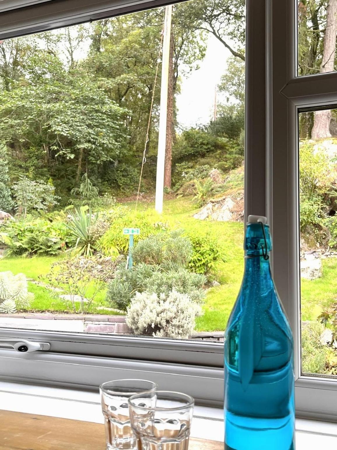 The Lake View Hotel Llanberis Δωμάτιο φωτογραφία