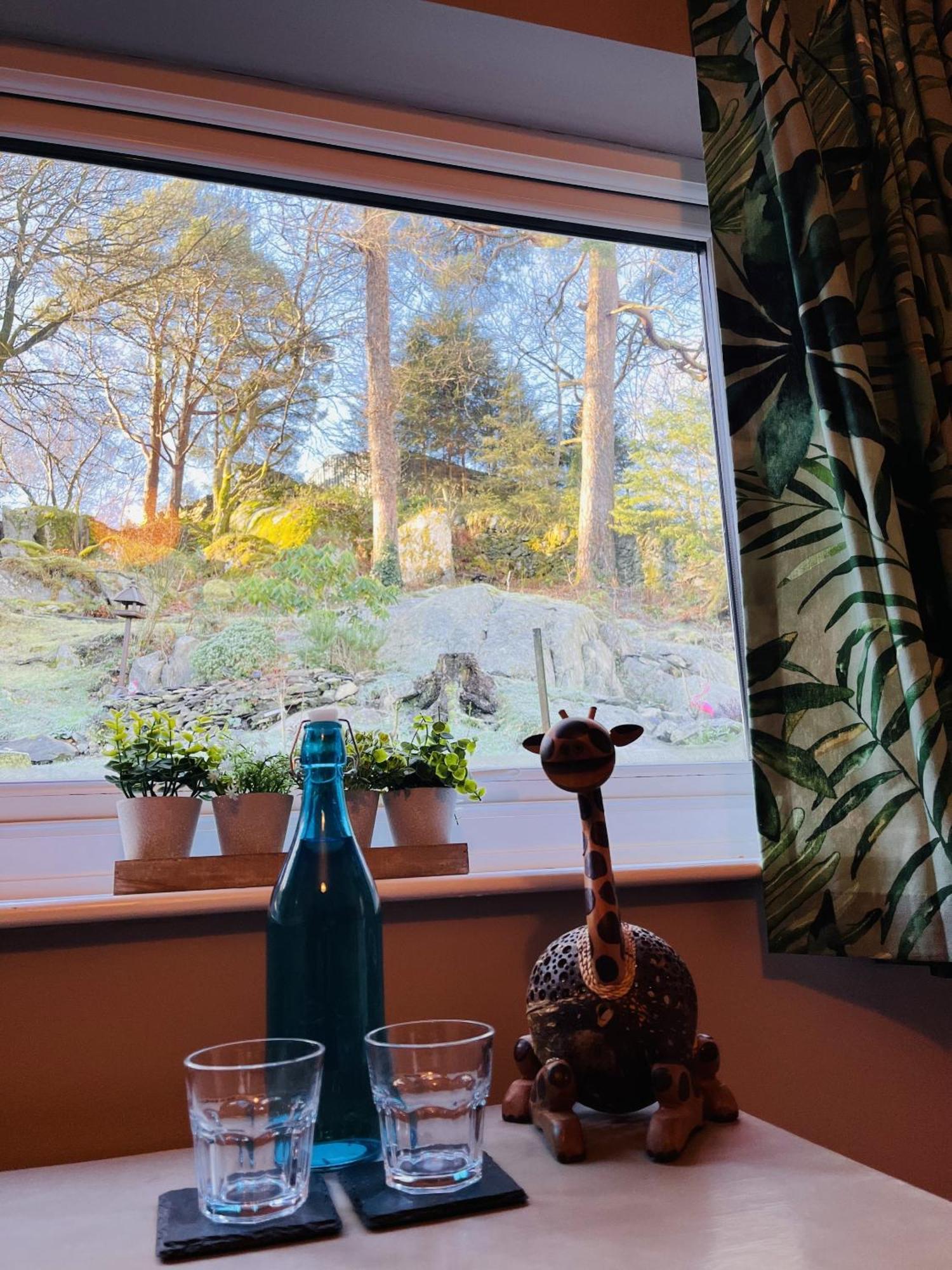 The Lake View Hotel Llanberis Δωμάτιο φωτογραφία